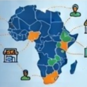 SME Business Profile – Africa